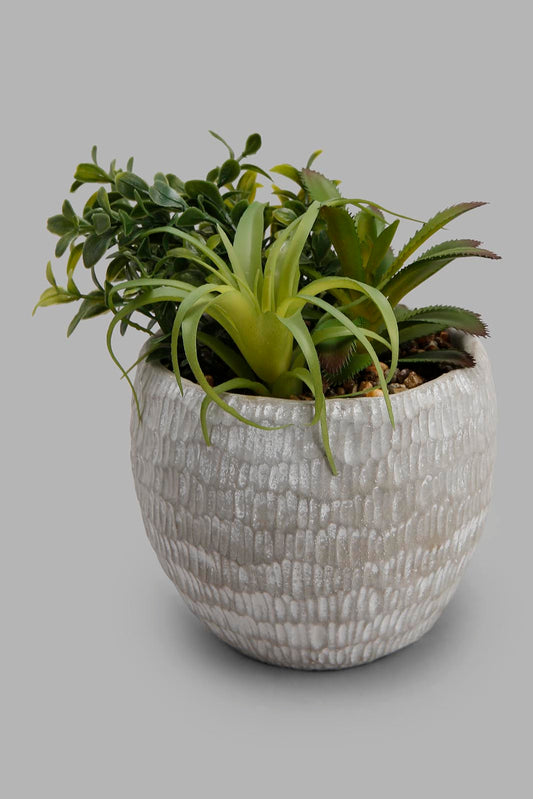 Redtag-Assorted-Artificial-Bunch-Plant-In-Pattern-Ceramic-Pot-Category:Plants-&-Flowers,-Colour:Assorted,-Deals:New-In,-Filter:Home-Decor,-HMW-HOM-Decorative-Accessories,-New-In-HMW-HOM,-Non-Sale,-Section:Homewares,-W22B-Home-Decor-