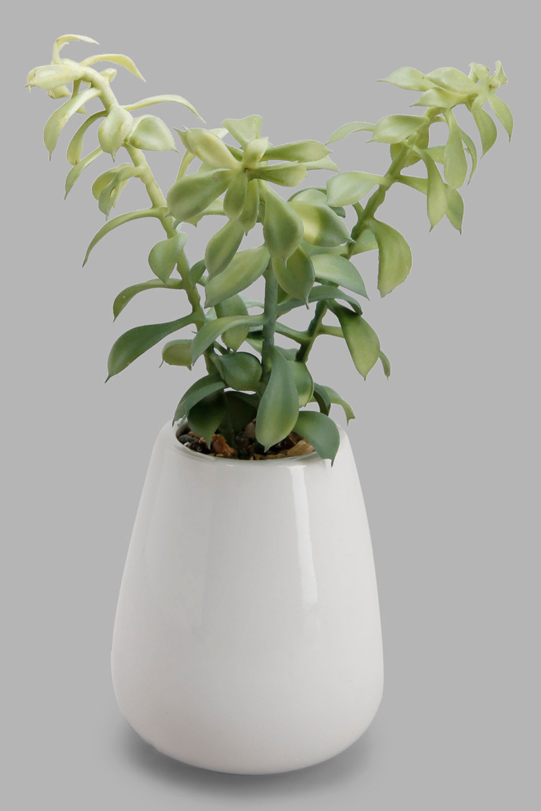Redtag-Green-Artificial-Plant-In-White-Ceramic-Pot-Category:Plants-&-Flowers,-Colour:Green,-Deals:New-In,-Filter:Home-Decor,-HMW-HOM-Decorative-Accessories,-New-In-HMW-HOM,-Non-Sale,-Section:Homewares,-W22B-Home-Decor-