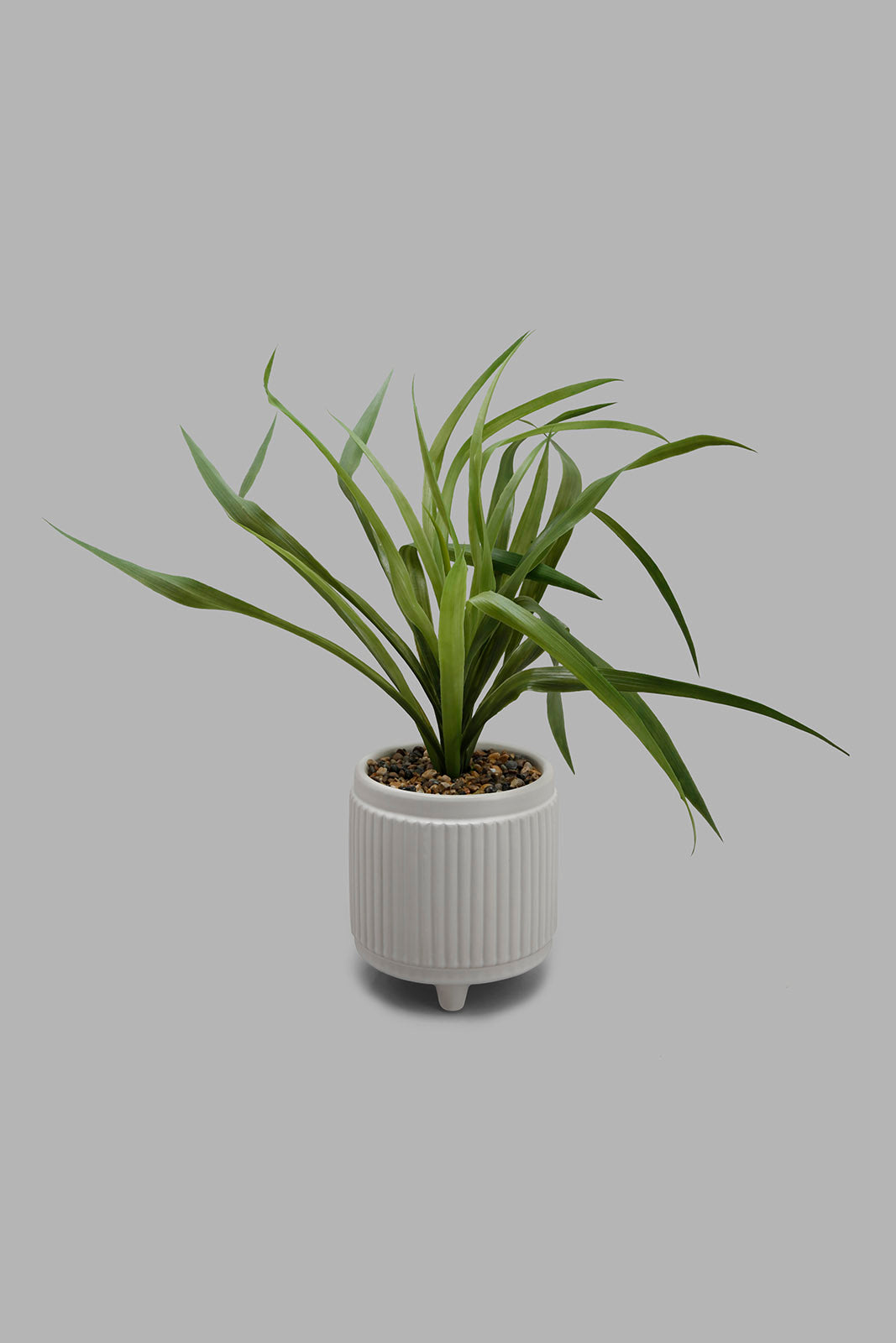 Redtag-Artificial-Plant-In-Green-Ceramic-Pot-Brooklyn,-Category:Plants-&-Flowers,-Colour:Green,-Deals:New-In,-Filter:Home-Decor,-HMW-HOM-Decorative-Accessories,-New-In-HMW-HOM,-Non-Sale,-Section:Homewares,-W22B-Home-Decor-