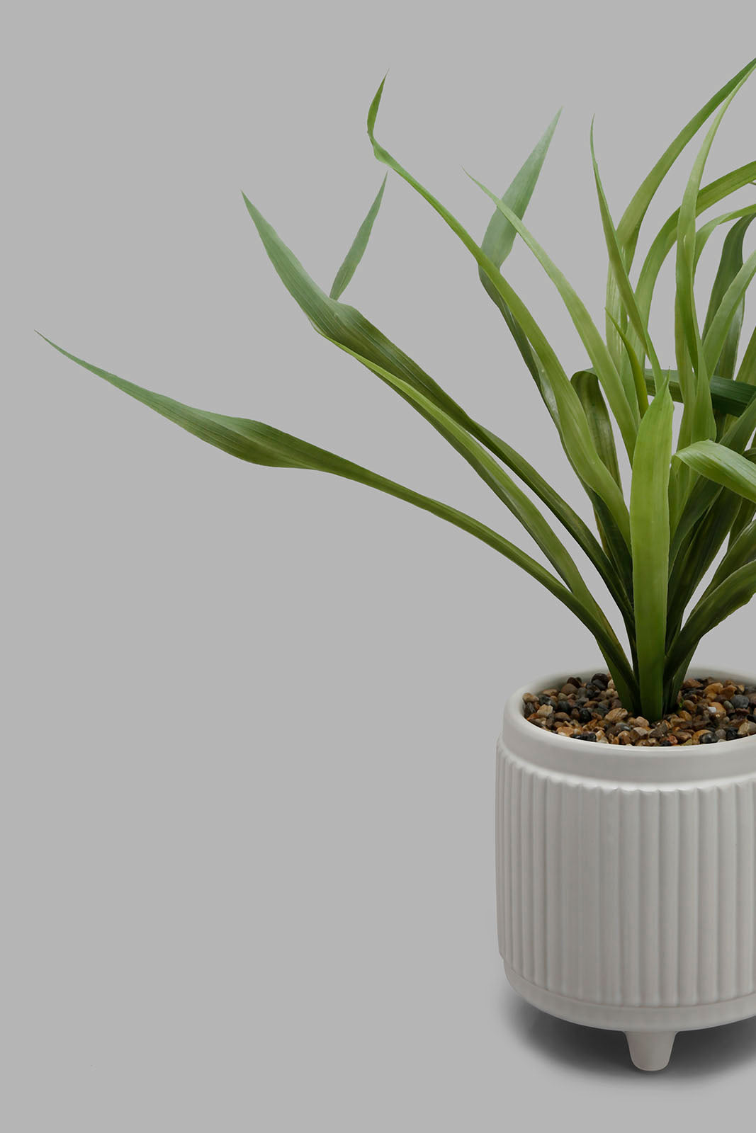 Redtag-Artificial-Plant-In-Green-Ceramic-Pot-Brooklyn,-Category:Plants-&-Flowers,-Colour:Green,-Deals:New-In,-Filter:Home-Decor,-HMW-HOM-Decorative-Accessories,-New-In-HMW-HOM,-Non-Sale,-Section:Homewares,-W22B-Home-Decor-