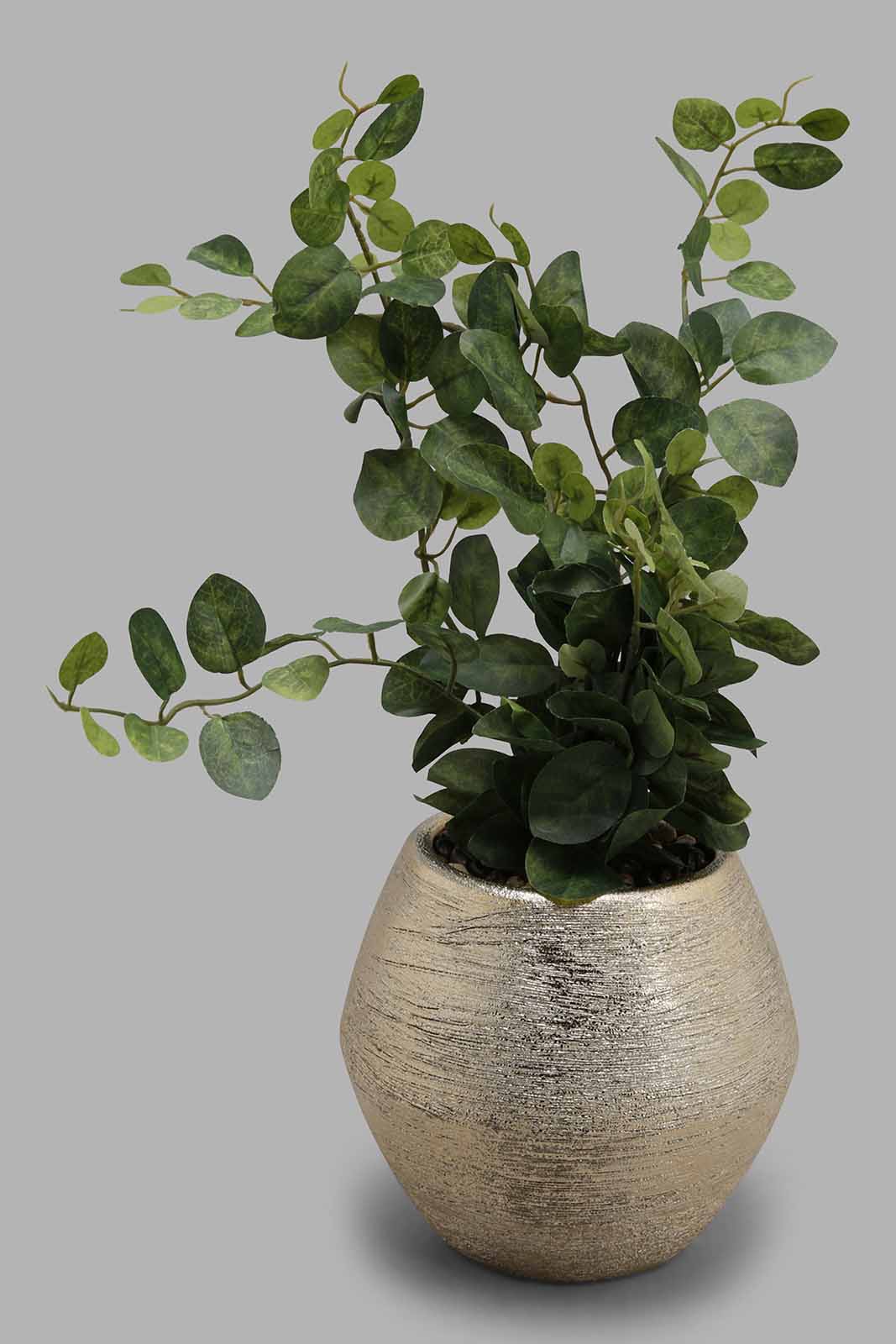 Redtag-Artificial-Plant-In-Gold-Ceramic-Pot-Brooklyn,-Category:Plants-&-Flowers,-Colour:Gold,-Deals:New-In,-Filter:Home-Decor,-HMW-HOM-Decorative-Accessories,-New-In-HMW-HOM,-Non-Sale,-Section:Homewares,-W22B-Home-Decor-