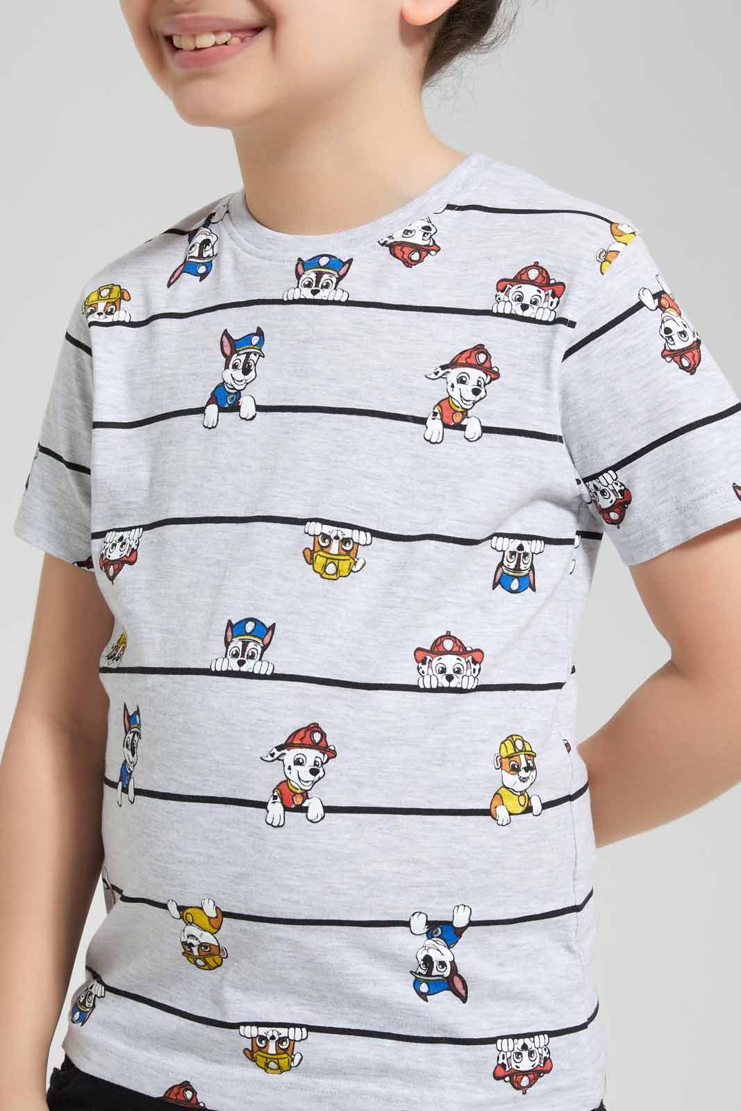 Redtag-M.-Grey-Printed-Paw-patrol-SS-T-Shirt-BOY-T-Shirts,-Category:T-Shirts,-CHR,-Colour:Grey,-Deals:New-In,-Filter:Boys-(2-to-8-Yrs),-New-In-BOY-APL,-Non-Sale,-Section:Boys-(0-to-14Yrs),-TBL,-W22O-Boys-2 to 8 Years