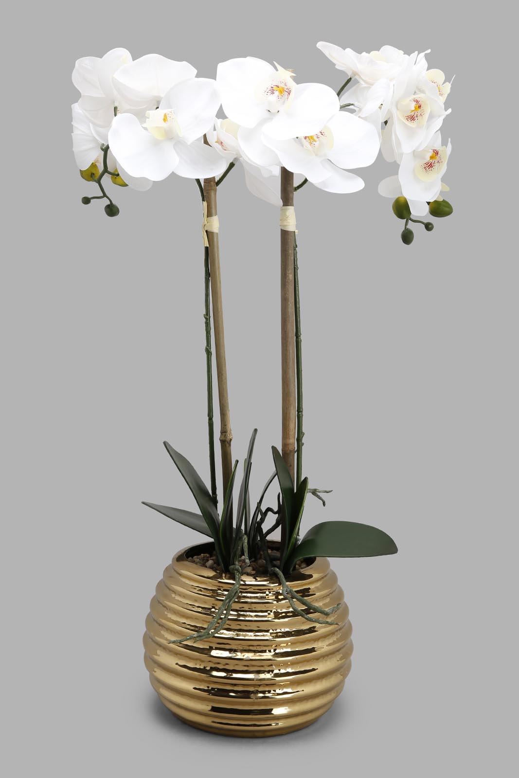 Redtag-Gold-Artificial-Orchid-In-Ceramic-Gold-Vase-Category:Plants-&-Flowers,-Colour:Gold,-Deals:New-In,-Filter:Home-Decor,-HMW-HOM-Decorative-Accessories,-New-In-HMW-HOM,-Non-Sale,-Section:Homewares,-W22A-Home-Decor-