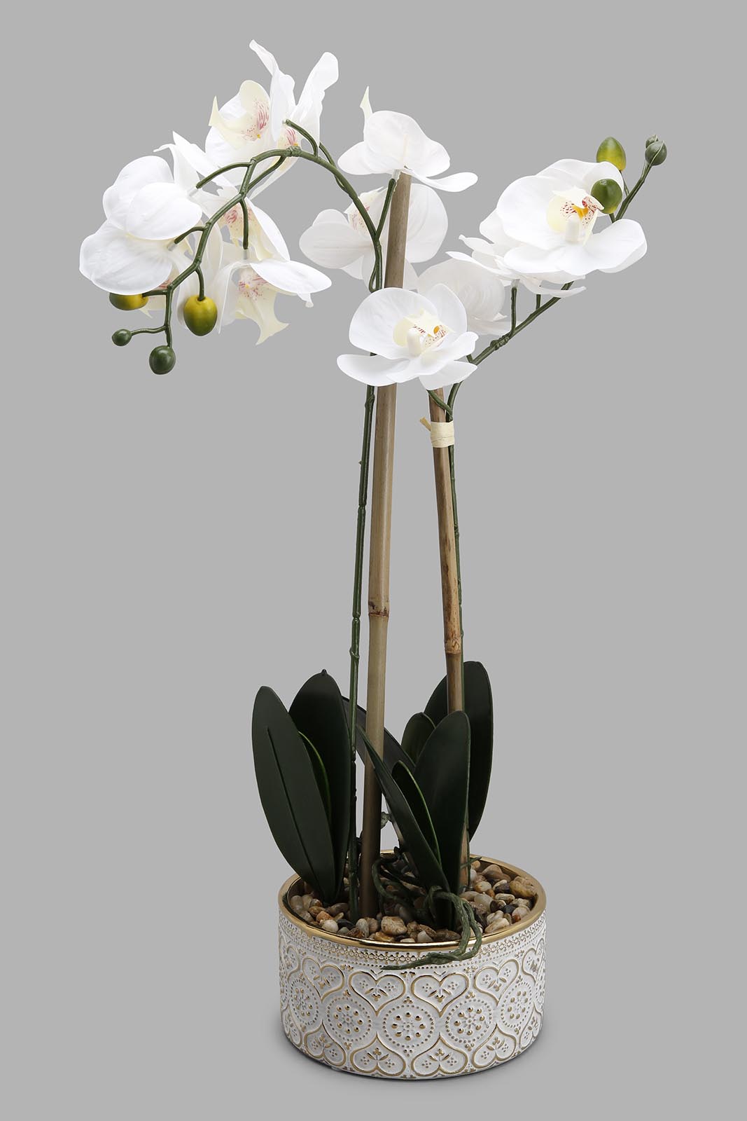 Redtag-Multi-Artificial-Orchid-In-Ceramic-Vase-Category:Plants-&-Flowers,-Colour:Multicolour,-Deals:New-In,-Filter:Home-Decor,-HMW-HOM-Decorative-Accessories,-New-In-HMW-HOM,-Non-Sale,-Section:Homewares,-W22A-Home-Decor-
