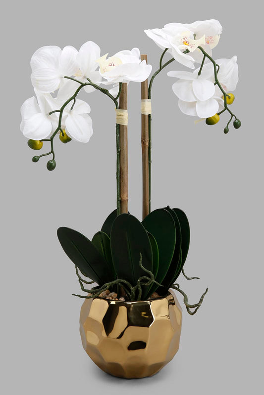 Redtag-Gold-Artificial-Orchid-In-Ceramic-Gold-Vase-Category:Plants-&-Flowers,-Colour:Gold,-Deals:New-In,-Filter:Home-Decor,-HMW-HOM-Decorative-Accessories,-New-In-HMW-HOM,-Non-Sale,-Section:Homewares,-W22A-Home-Decor-