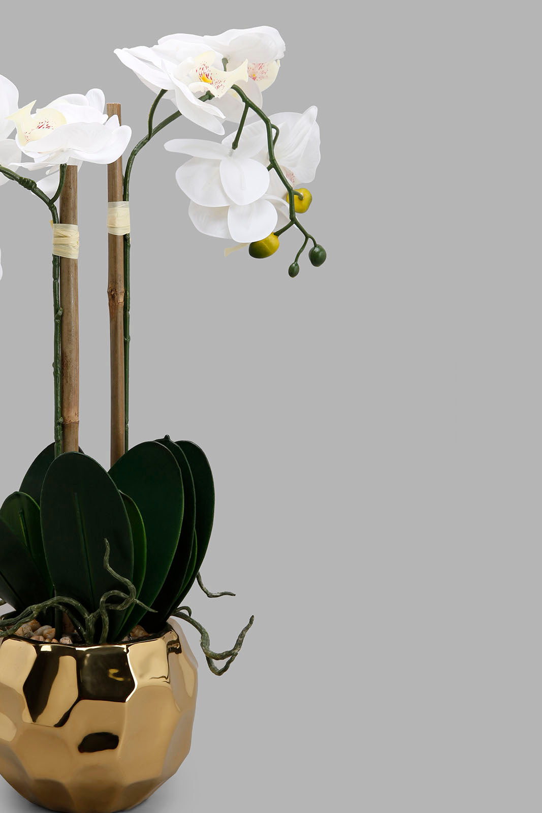 Redtag-Gold-Artificial-Orchid-In-Ceramic-Gold-Vase-Category:Plants-&-Flowers,-Colour:Gold,-Deals:New-In,-Filter:Home-Decor,-HMW-HOM-Decorative-Accessories,-New-In-HMW-HOM,-Non-Sale,-Section:Homewares,-W22A-Home-Decor-