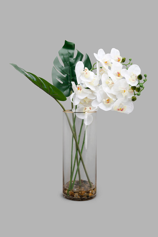 Redtag-Multi-Artificial-Orchid-In-Ceramic-Glass-Vase-Category:Plants-&-Flowers,-Colour:Multicolour,-Deals:New-In,-Filter:Home-Decor,-HMW-HOM-Decorative-Accessories,-New-In-HMW-HOM,-Non-Sale,-Section:Homewares,-W22A-Home-Decor-