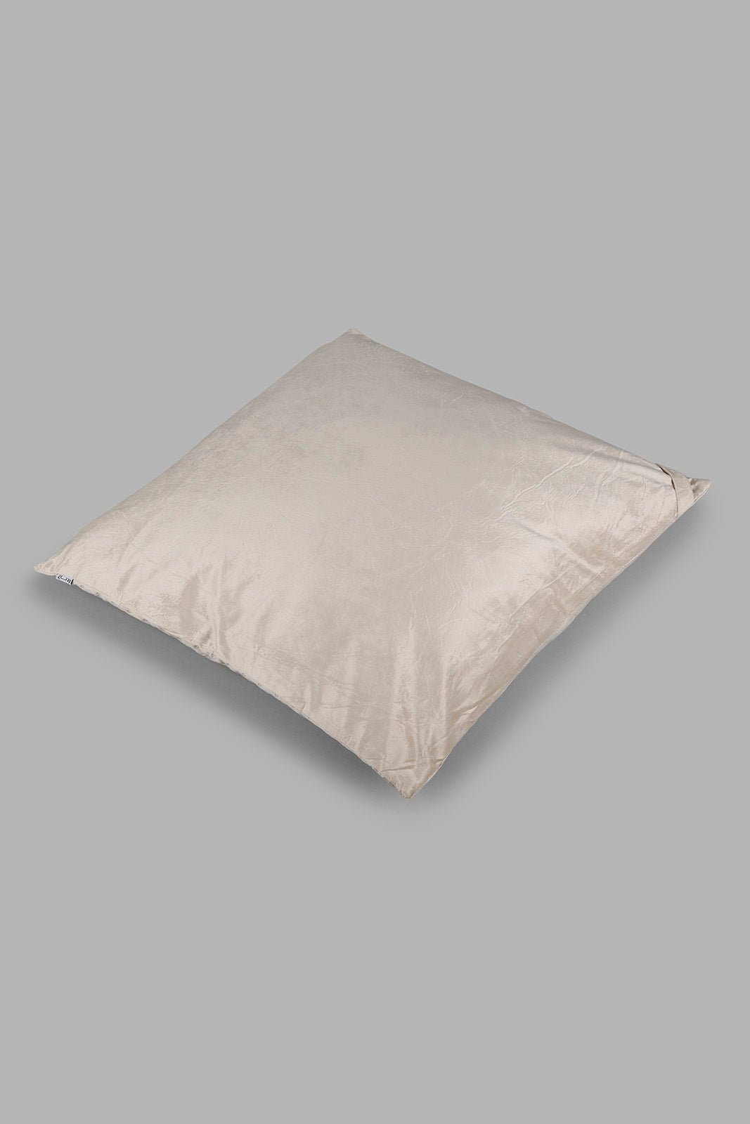 Redtag-Beige-Velvet-Floor-Cushion-Category:Cushions,-Colour:Beige,-Deals:New-In,-Filter:Home-Bedroom,-HMW-BED-Cushions,-New-In-HMW-BED,-Non-Sale,-Section:Homewares,-W22A-Home-Bedroom-