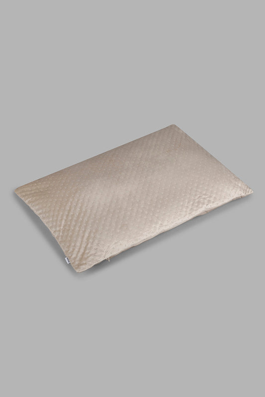 Redtag-Beige-Velvet-Floor-Cushion-Category:Cushions,-Colour:Beige,-Deals:New-In,-Filter:Home-Bedroom,-HMW-BED-Cushions,-New-In-HMW-BED,-Non-Sale,-Section:Homewares,-W22A-Home-Bedroom-