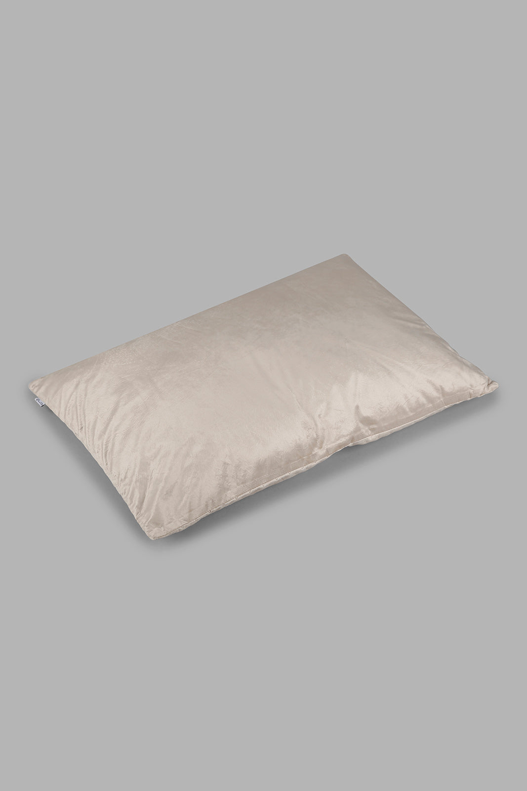 Redtag-Beige-Velvet-Floor-Cushion-Category:Cushions,-Colour:Beige,-Deals:New-In,-Filter:Home-Bedroom,-HMW-BED-Cushions,-New-In-HMW-BED,-Non-Sale,-Section:Homewares,-W22A-Home-Bedroom-