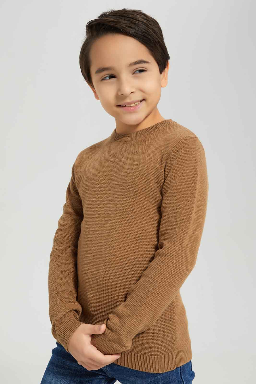 Redtag-Brown-Crewneck-Jumper-BOY-Pullovers,-Category:Pullovers,-Colour:Brown,-Deals:New-In,-Dept:Boys,-Filter:Boys-(2-to-8-Yrs),-New-In-BOY-APL,-Non-Sale,-Section:Boys-(0-to-14Yrs),-TBL,-W22B-Boys-2 to 8 Years