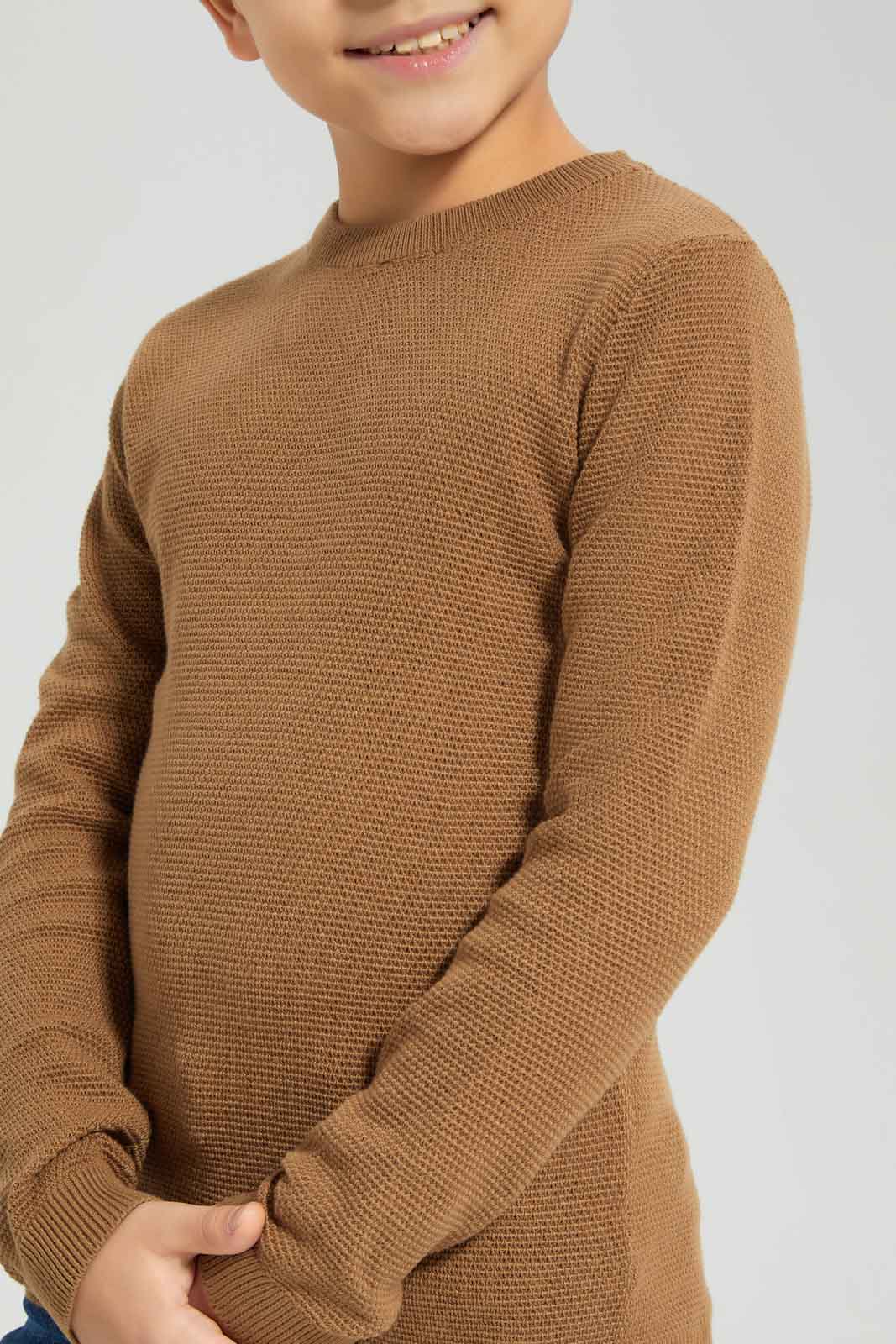 Redtag-Brown-Crewneck-Jumper-BOY-Pullovers,-Category:Pullovers,-Colour:Brown,-Deals:New-In,-Dept:Boys,-Filter:Boys-(2-to-8-Yrs),-New-In-BOY-APL,-Non-Sale,-Section:Boys-(0-to-14Yrs),-TBL,-W22B-Boys-2 to 8 Years