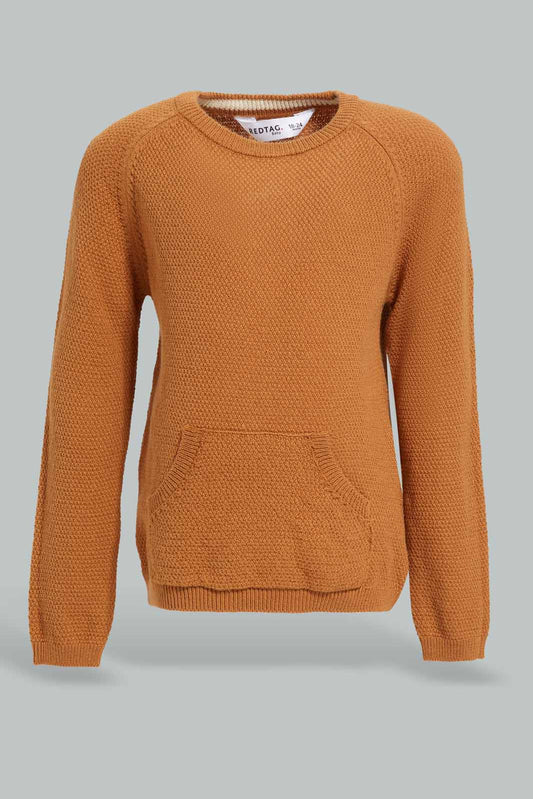 Redtag-Rust-Kangaroo-Pullover-Category:Pullovers,-Colour:Brown,-Deals:New-In,-Filter:Infant-Boys-(3-to-24-Mths),-INB-Pullovers,-New-In-INB-APL,-Non-Sale,-Section:Boys-(0-to-14Yrs),-W22A-Infant-Boys-3 to 24 Months