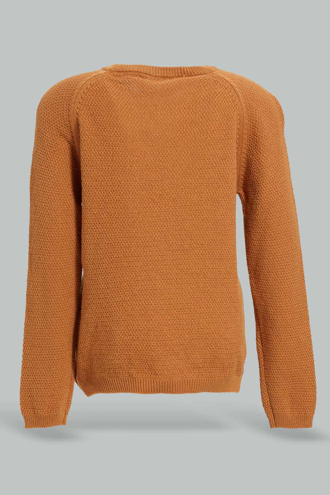 Redtag-Rust-Kangaroo-Pullover-Category:Pullovers,-Colour:Brown,-Deals:New-In,-Filter:Infant-Boys-(3-to-24-Mths),-INB-Pullovers,-New-In-INB-APL,-Non-Sale,-Section:Boys-(0-to-14Yrs),-W22A-Infant-Boys-3 to 24 Months