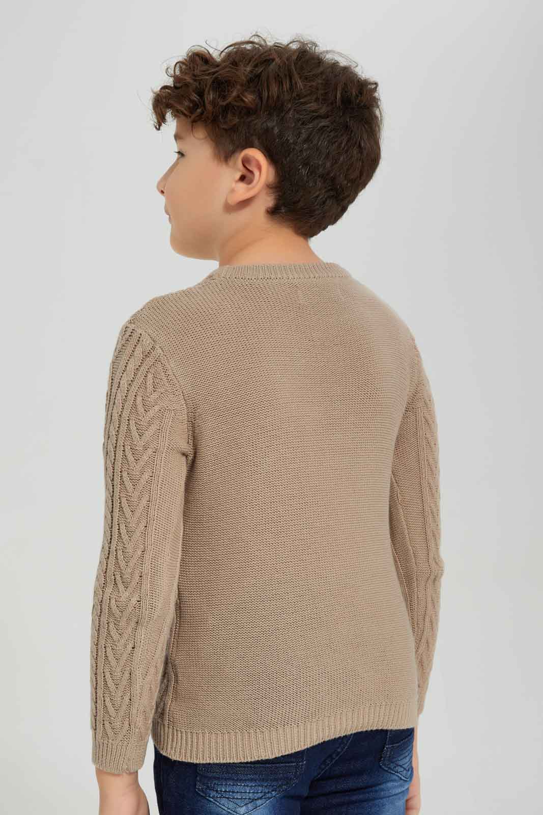 Redtag-Beige-Cable-Jumper-BOY-Pullovers,-Category:Pullovers,-Colour:Beige,-Deals:New-In,-Dept:Boys,-EHW,-Filter:Boys-(2-to-8-Yrs),-New-In-BOY-APL,-Non-Sale,-Section:Boys-(0-to-14Yrs),-W22B-Boys-2 to 8 Years
