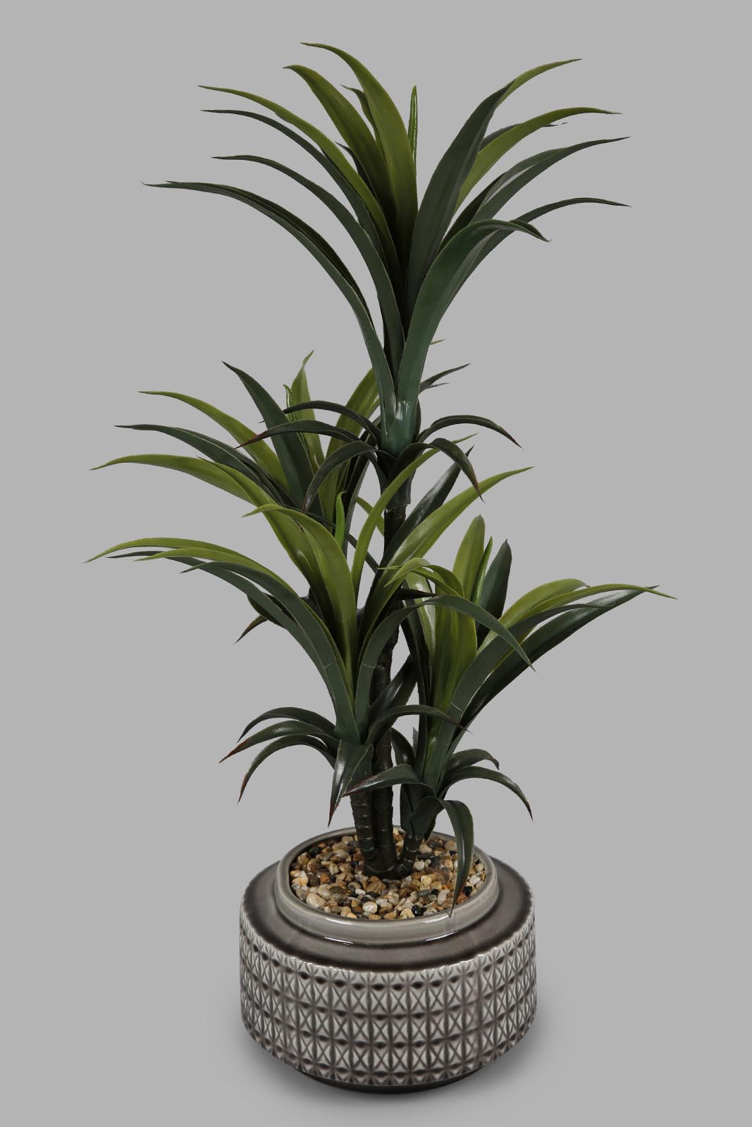 Redtag-Artificial-Dracaena-Marginata-Plant-With-Ceramic-Pot-93Cm-Category:Plants-&-Flowers,-Colour:Green,-Deals:New-In,-Filter:Home-Decor,-HMW-HOM-Decorative-Accessories,-New-In-HMW-HOM,-Non-Sale,-Section:Homewares,-W22O-Home-Decor-