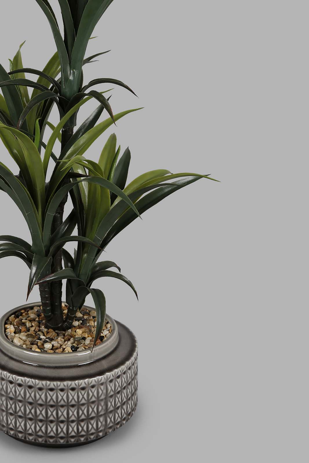 Redtag-Artificial-Dracaena-Marginata-Plant-With-Ceramic-Pot-93Cm-Category:Plants-&-Flowers,-Colour:Green,-Deals:New-In,-Filter:Home-Decor,-HMW-HOM-Decorative-Accessories,-New-In-HMW-HOM,-Non-Sale,-Section:Homewares,-W22O-Home-Decor-