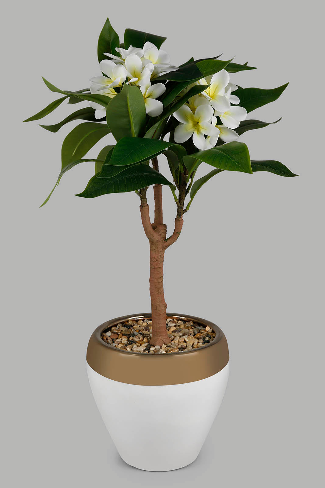 Redtag-Artificial-Bigplant-With-Flower-Plant-&-Ceramic-Pot-72Cm-Category:Plants-&-Flowers,-Colour:Green,-Deals:New-In,-Filter:Home-Decor,-HMW-HOM-Decorative-Accessories,-New-In-HMW-HOM,-Non-Sale,-Section:Homewares,-W22O-Home-Decor-