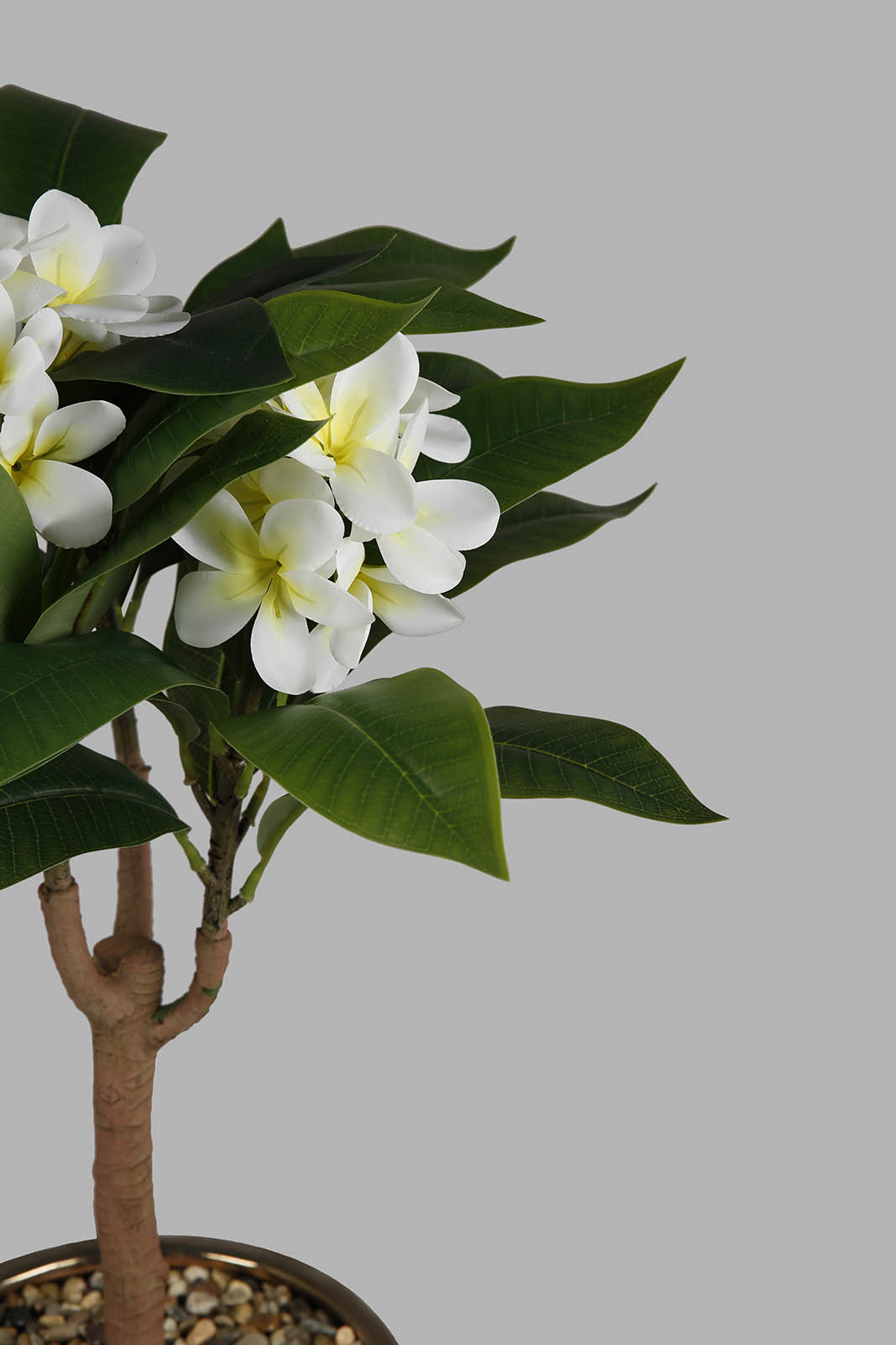 Redtag-Artificial-Bigplant-With-Flower-Plant-&-Ceramic-Pot-72Cm-Category:Plants-&-Flowers,-Colour:Green,-Deals:New-In,-Filter:Home-Decor,-HMW-HOM-Decorative-Accessories,-New-In-HMW-HOM,-Non-Sale,-Section:Homewares,-W22O-Home-Decor-