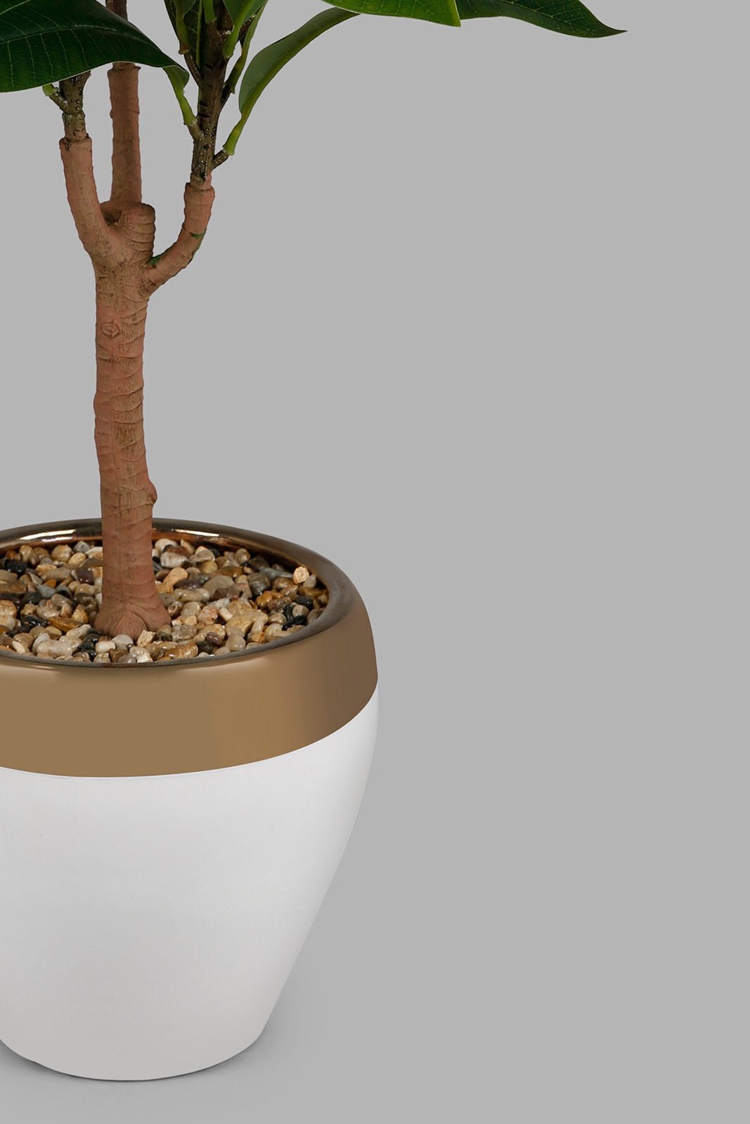 Redtag-Artificial-Bigplant-With-Flower-Plant-&-Ceramic-Pot-72Cm-Category:Plants-&-Flowers,-Colour:Green,-Deals:New-In,-Filter:Home-Decor,-HMW-HOM-Decorative-Accessories,-New-In-HMW-HOM,-Non-Sale,-Section:Homewares,-W22O-Home-Decor-