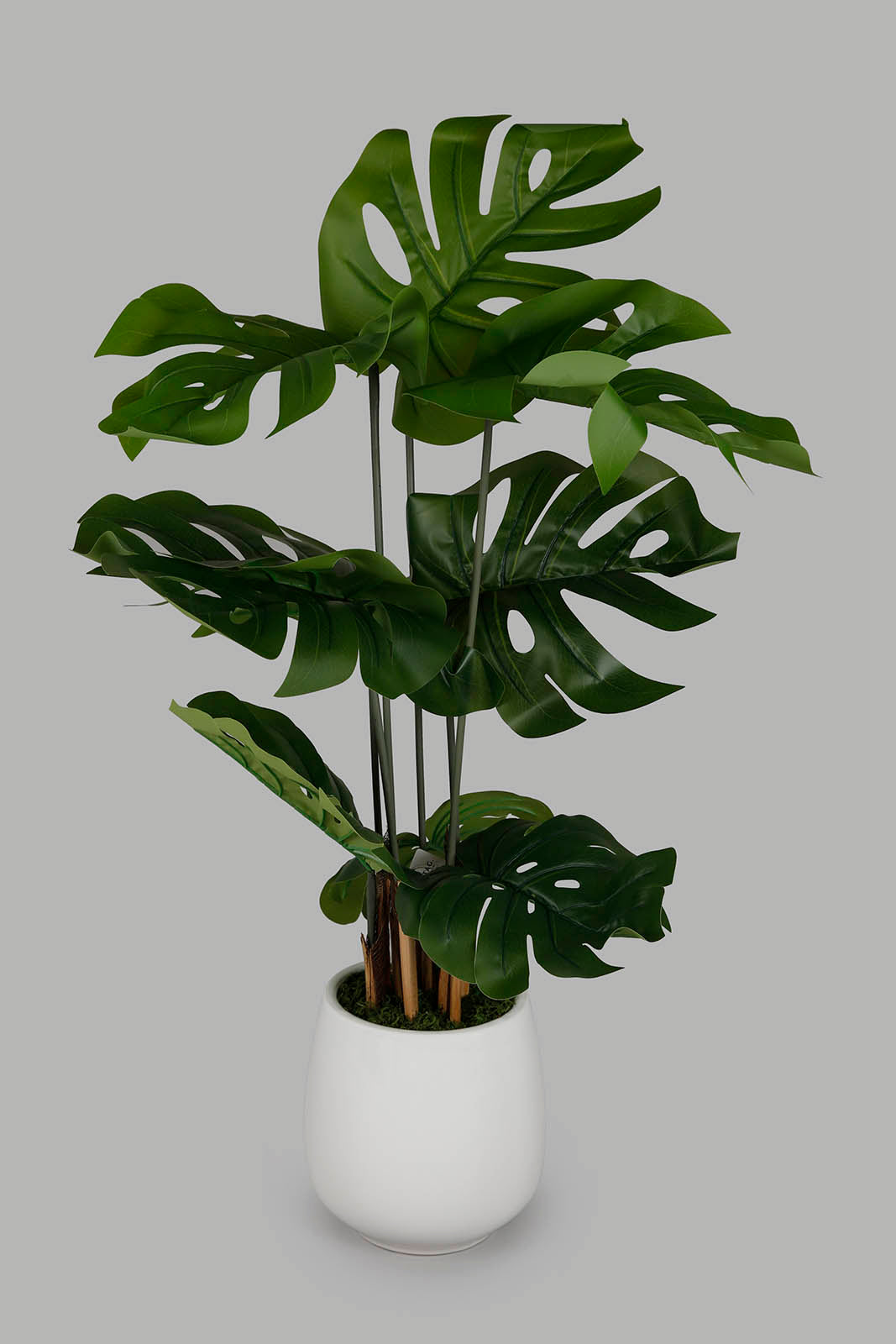 Redtag-Artificial-Monstera-Plant-With-Ceramic-White-Pot-100Cm-Category:Plants-&-Flowers,-Colour:Green,-Deals:New-In,-Filter:Home-Decor,-HMW-HOM-Decorative-Accessories,-New-In-HMW-HOM,-Non-Sale,-Section:Homewares,-W22O-Home-Decor-