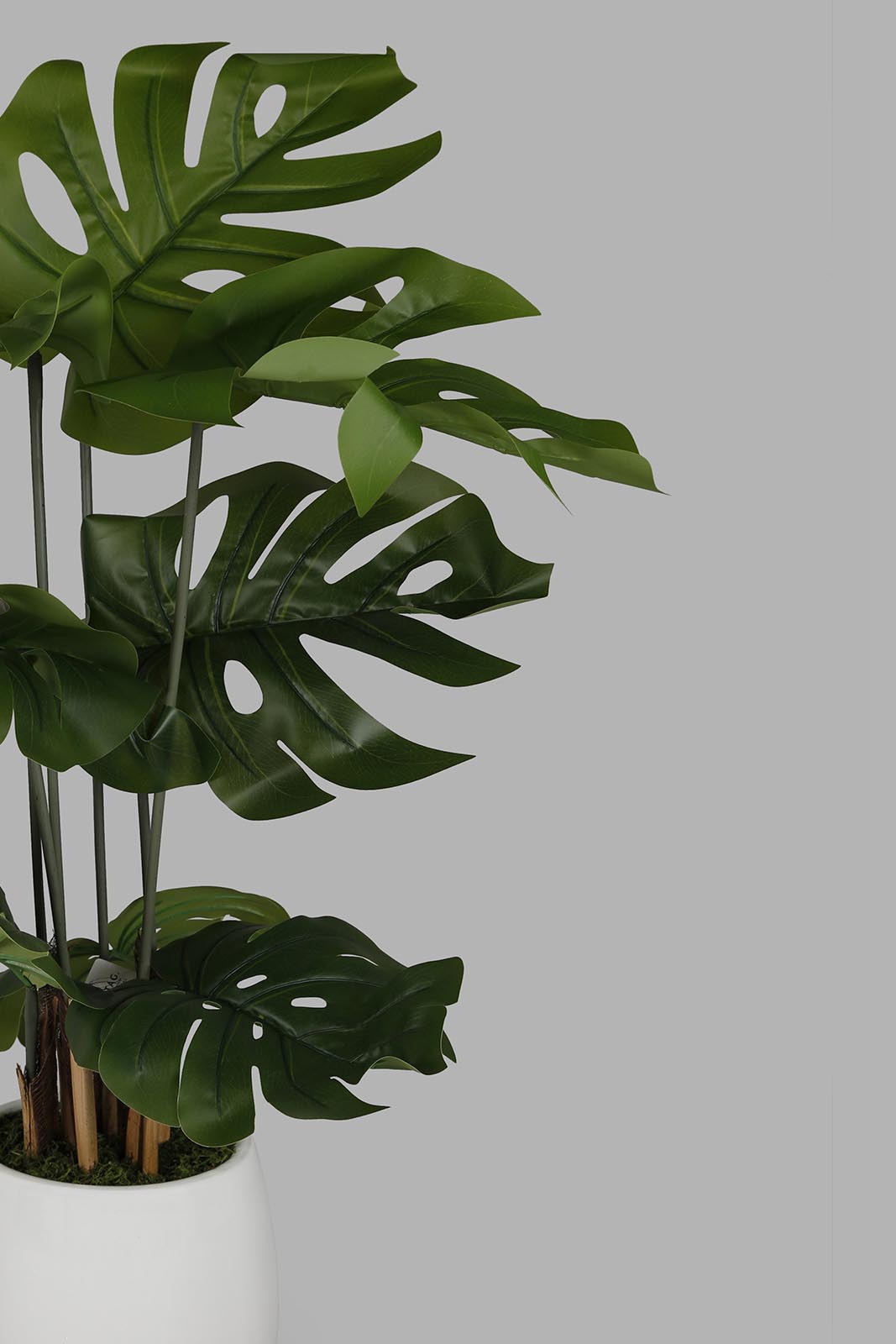 Redtag-Artificial-Monstera-Plant-With-Ceramic-White-Pot-100Cm-Category:Plants-&-Flowers,-Colour:Green,-Deals:New-In,-Filter:Home-Decor,-HMW-HOM-Decorative-Accessories,-New-In-HMW-HOM,-Non-Sale,-Section:Homewares,-W22O-Home-Decor-