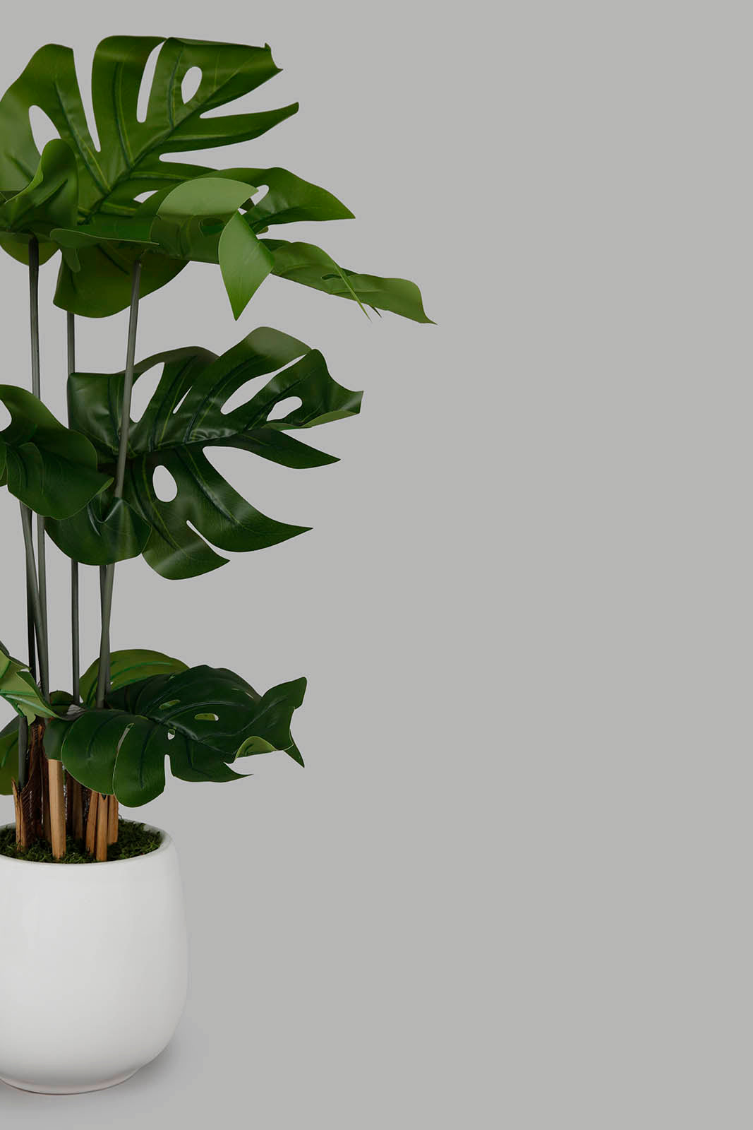 Redtag-Artificial-Monstera-Plant-With-Ceramic-White-Pot-100Cm-Category:Plants-&-Flowers,-Colour:Green,-Deals:New-In,-Filter:Home-Decor,-HMW-HOM-Decorative-Accessories,-New-In-HMW-HOM,-Non-Sale,-Section:Homewares,-W22O-Home-Decor-