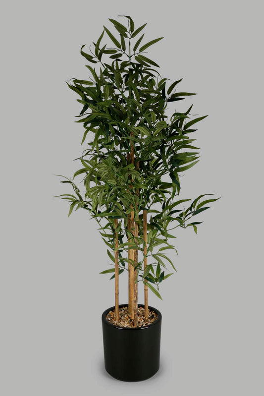 Redtag-Artificial-Bamboo-Plant-With-Ceramic-Black-Pot-140Cm-Category:Plants-&-Flowers,-Colour:Green,-Deals:New-In,-Filter:Home-Decor,-HMW-HOM-Decorative-Accessories,-New-In-HMW-HOM,-Non-Sale,-Section:Homewares,-W22O-Home-Decor-