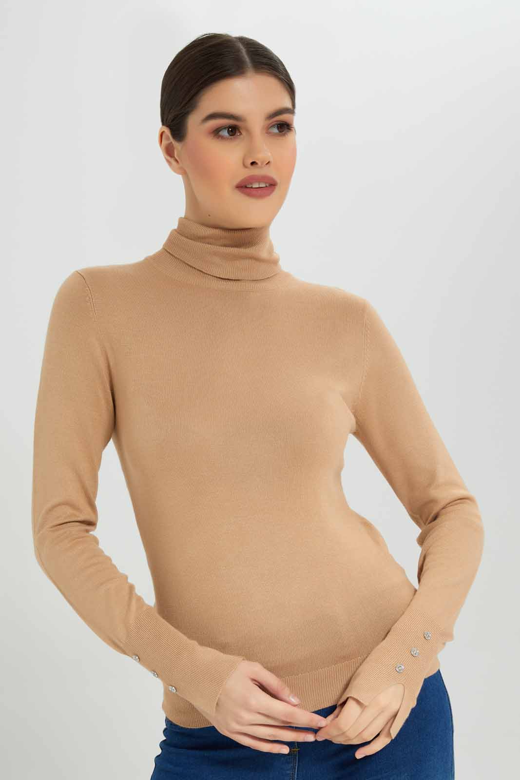 Redtag-Nude-Basic-Solid-Turtle-Neck-Pullovers-Category:Pullovers,-Colour:Beige,-Deals:New-In,-Filter:Women's-Clothing,-New-In-Women-APL,-Non-Sale,-Section:Women,-TBL,-W22B,-Women-Pullovers-Women's-