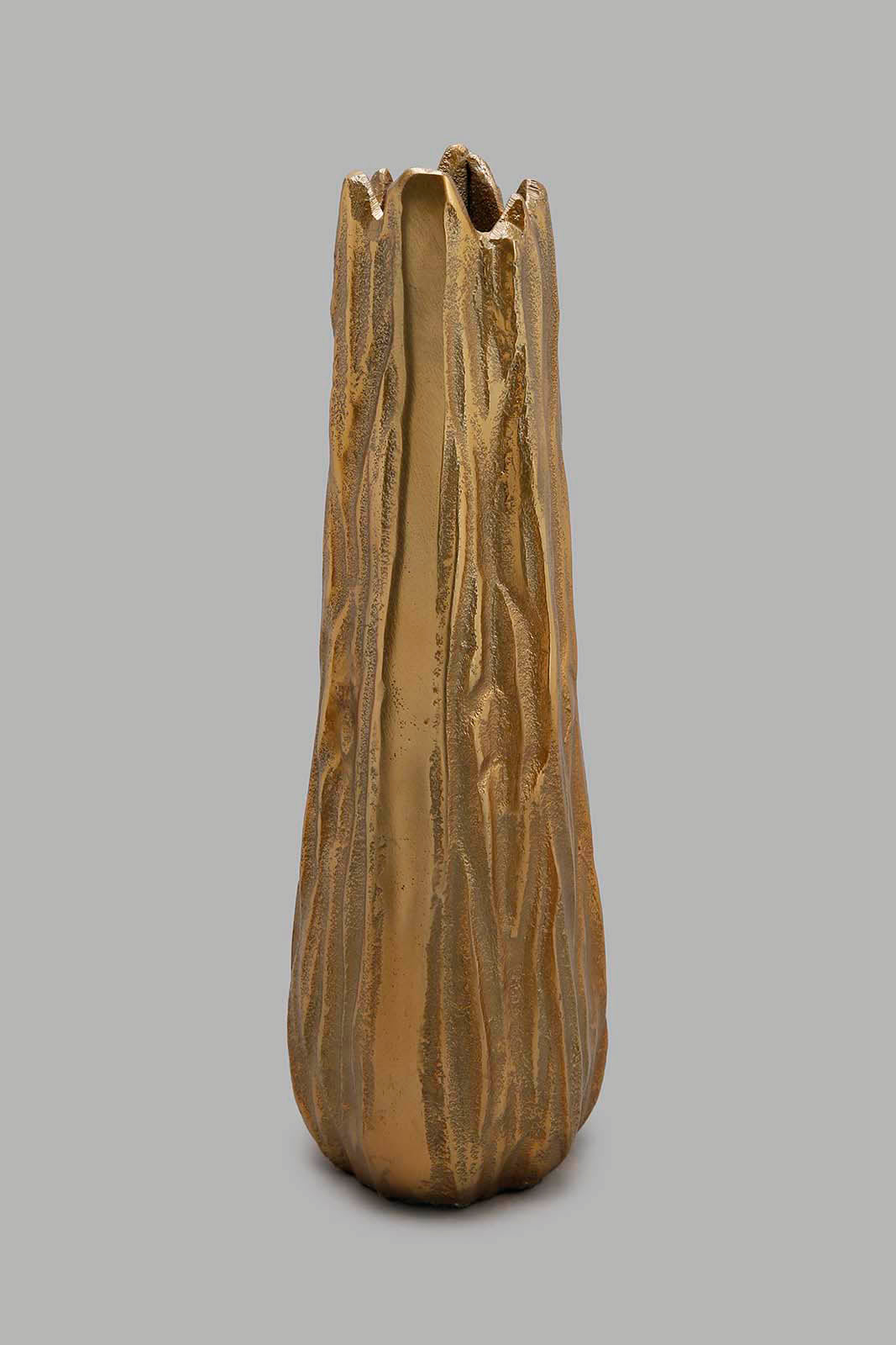 Redtag-Gold-Metal-Textured-Vase-Category:Artefact,-Colour:Gold,-Deals:New-In,-Filter:Home-Decor,-HMW-HOM-Decorative-Accessories,-New-In-HMW-HOM,-Non-Sale,-Section:Homewares,-W22A-Home-Decor-
