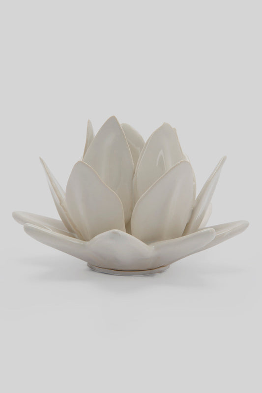 Redtag-White-Decorative-Flower-Category:Plants-&-Flowers,-Colour:White,-Deals:New-In,-Filter:Home-Decor,-HMW-HOM-Decorative-Accessories,-New-In-HMW-HOM,-Non-Sale,-Section:Homewares,-W22B-Home-Decor-