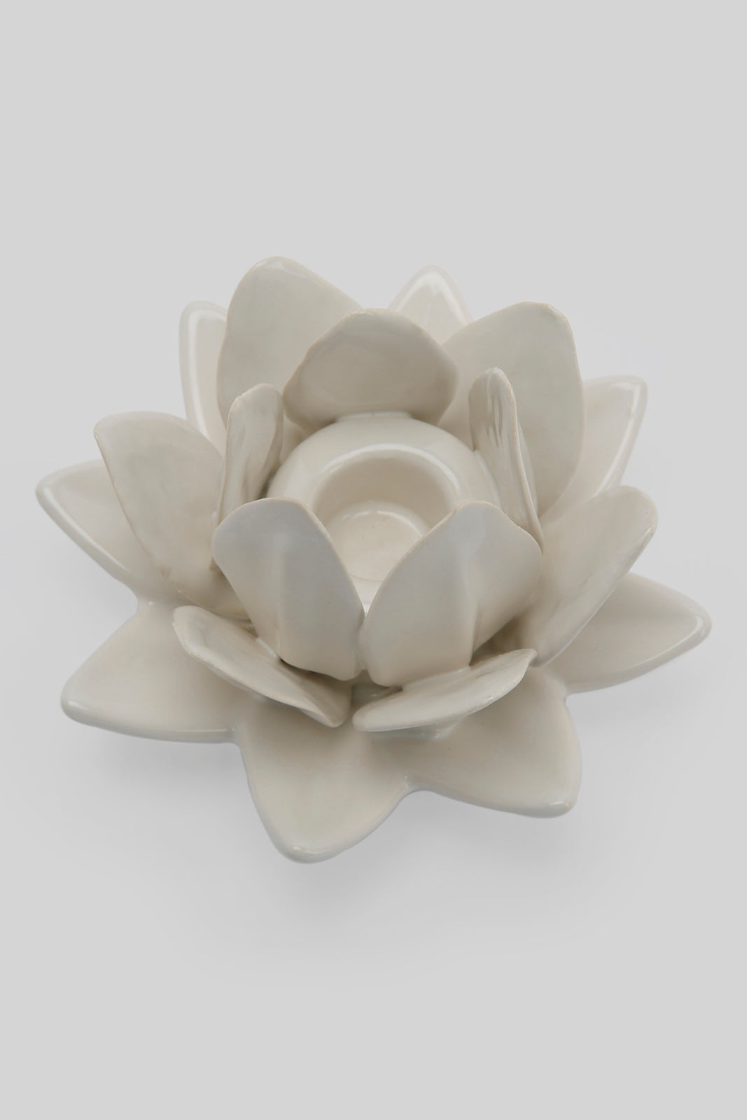 Redtag-White-Decorative-Flower-Category:Plants-&-Flowers,-Colour:White,-Deals:New-In,-Filter:Home-Decor,-HMW-HOM-Decorative-Accessories,-New-In-HMW-HOM,-Non-Sale,-Section:Homewares,-W22B-Home-Decor-