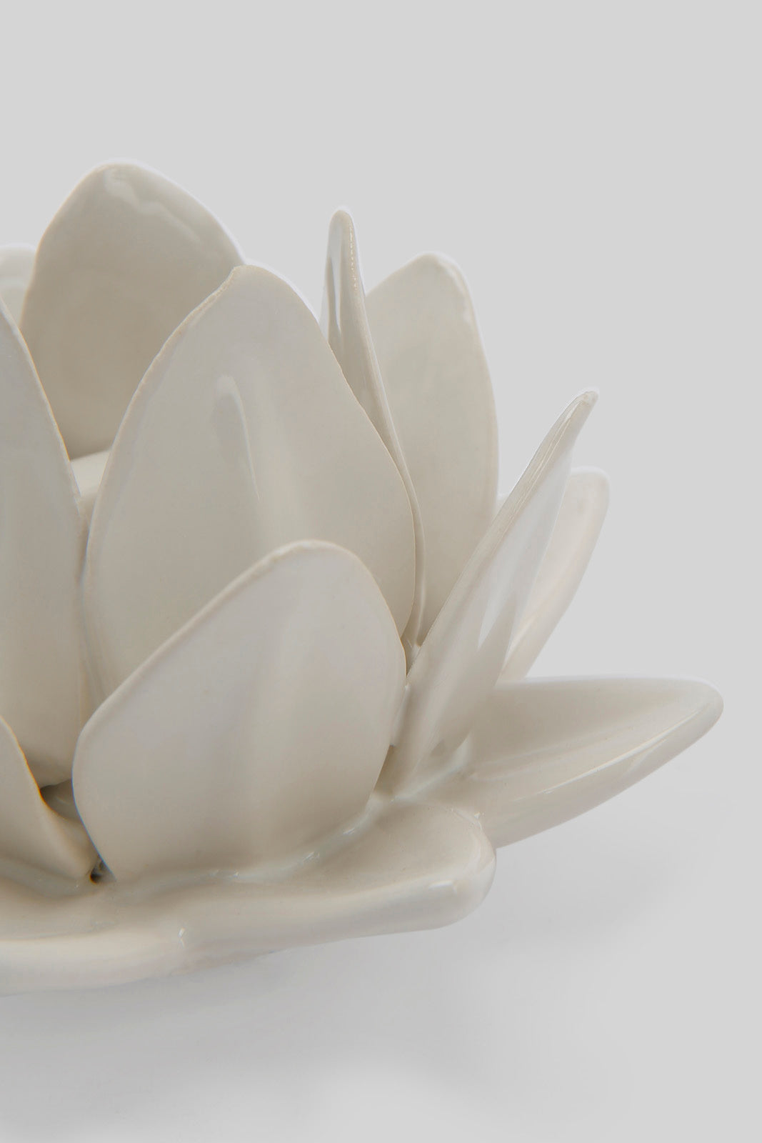 Redtag-White-Decorative-Flower-Category:Plants-&-Flowers,-Colour:White,-Deals:New-In,-Filter:Home-Decor,-HMW-HOM-Decorative-Accessories,-New-In-HMW-HOM,-Non-Sale,-Section:Homewares,-W22B-Home-Decor-