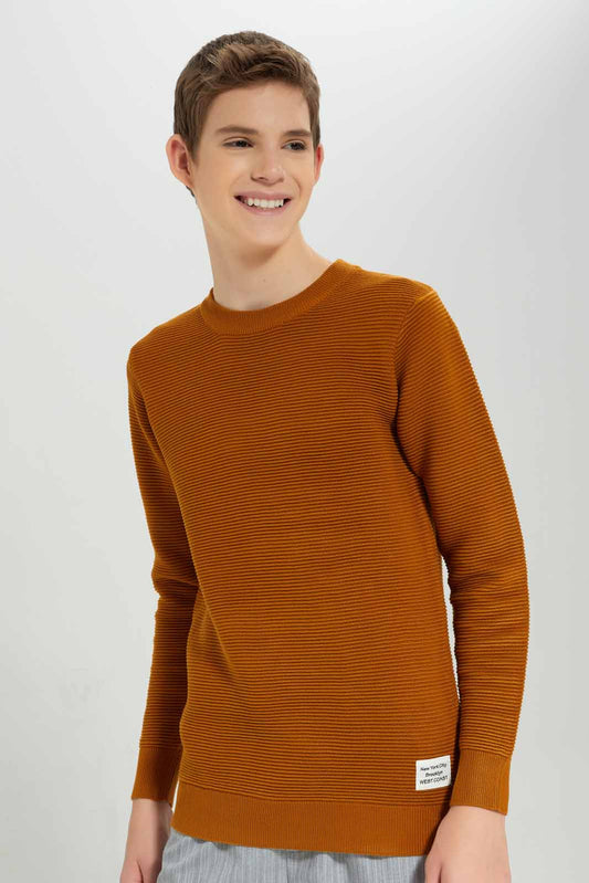 Redtag-Mustard-Jacquard-Pullover-BSR-Pullovers,-Category:Pullovers,-Colour:Mustard,-Deals:New-In,-Dept:Boys,-Filter:Senior-Boys-(8-to-14-Yrs),-New-In-BSR-APL,-Non-Sale,-Section:Boys-(0-to-14Yrs),-W22B-Senior-Boys-9 to 14 Years