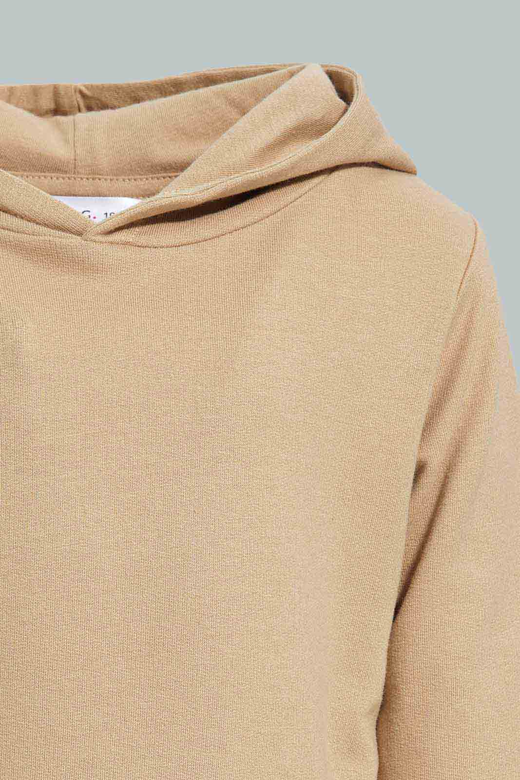 Redtag-Stone-TBL-Hooded-Sweatshirts-Category:Sweatshirts,-Colour:Beige,-Deals:New-In,-Dept:Boys,-Filter:Infant-Boys-(3-to-24-Mths),-INB-Sweatshirts,-New-In-INB-APL,-Non-Sale,-Section:Boys-(0-to-14Yrs),-TBL,-W22B-Infant-Boys-3 to 24 Months