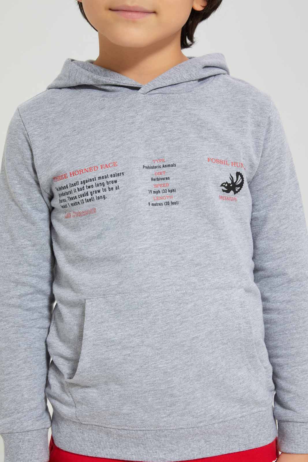 Redtag-Grey-Marl-Front-and-Back-Print-Fleece-Hooded-Sweatshirt-BOY-Sweatshirts,-Category:Sweatshirts,-Colour:Grey,-Deals:New-In,-EHW,-Filter:Boys-(2-to-8-Yrs),-New-In-BOY-APL,-Non-Sale,-Section:Boys-(0-to-14Yrs),-W22B-Boys-2 to 8 Years