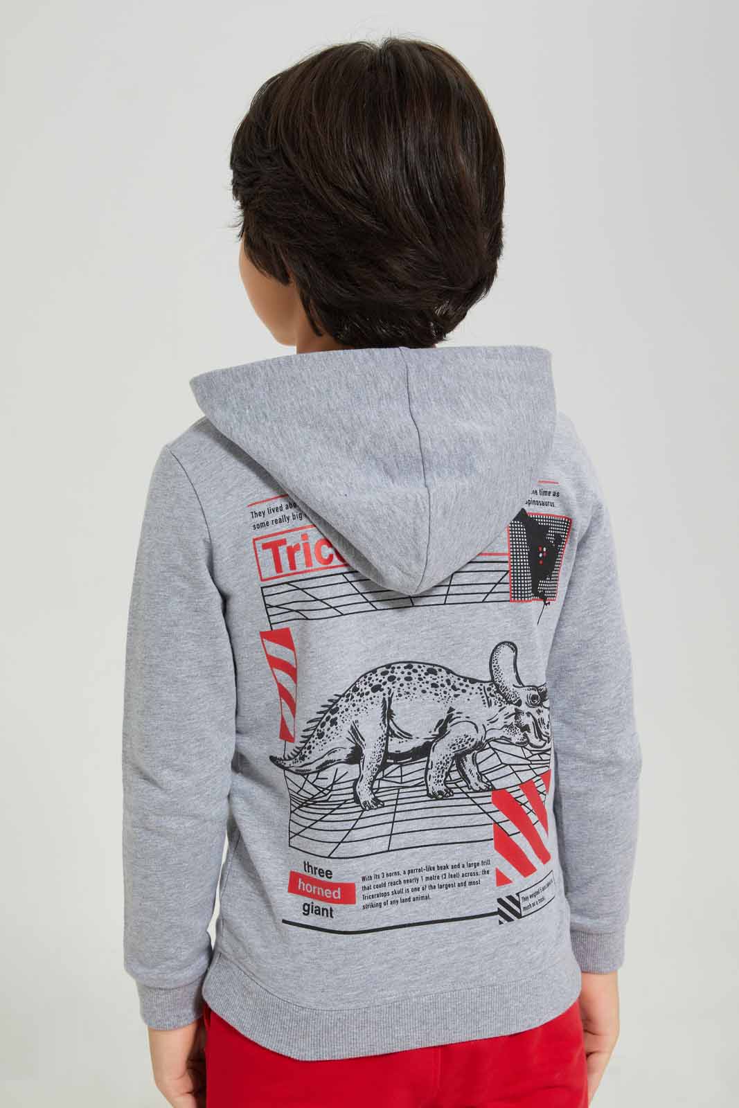 Redtag-Grey-Marl-Front-and-Back-Print-Fleece-Hooded-Sweatshirt-BOY-Sweatshirts,-Category:Sweatshirts,-Colour:Grey,-Deals:New-In,-EHW,-Filter:Boys-(2-to-8-Yrs),-New-In-BOY-APL,-Non-Sale,-Section:Boys-(0-to-14Yrs),-W22B-Boys-2 to 8 Years