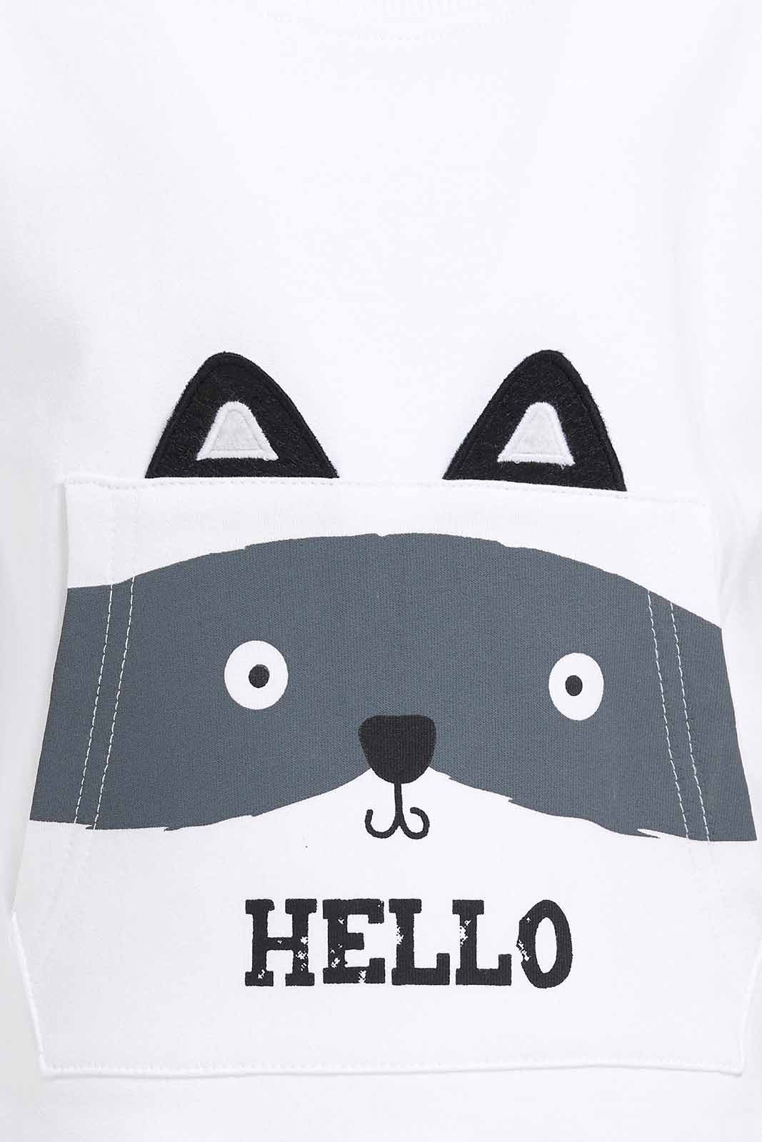 Redtag-Aqua-Racoon-Cre-Sweatshirts-Category:Sweatshirts,-Colour:Blue,-Deals:New-In,-Dept:Boys,-Filter:Infant-Boys-(3-to-24-Mths),-INB-Sweatshirts,-New-In-INB-APL,-Non-Sale,-Section:Boys-(0-to-14Yrs),-W22B-Infant-Boys-3 to 24 Months