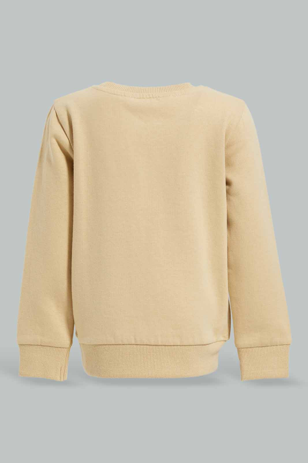 Redtag-Grey-Tiger-Crew-Sweatshirts-Category:Sweatshirts,-Colour:Grey,-Deals:New-In,-Dept:Boys,-Filter:Infant-Boys-(3-to-24-Mths),-INB-Sweatshirts,-New-In-INB-APL,-Non-Sale,-Section:Boys-(0-to-14Yrs),-W22B-Infant-Boys-3 to 24 Months