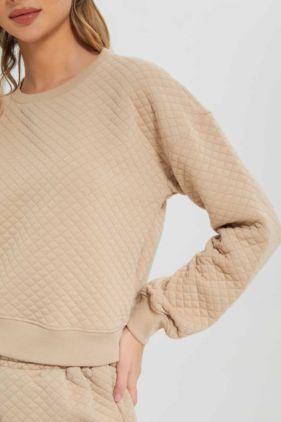 Redtag-Tan-Jacquard-Cropped-Sweatshirt-Category:Sweatshirts,-Colour:Tan,-Deals:New-In,-Filter:Women's-Clothing,-New-In-Women-APL,-Non-Sale,-Section:Women,-W22B,-Women-Sweatshirts-Women's-