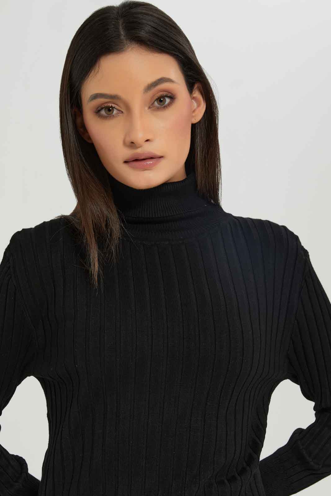 Redtag-Black-Rib-Solid-High-NeckPullover-Category:Pullovers,-Colour:Black,-Deals:New-In,-Dept:Ladieswear,-Filter:Women's-Clothing,-New-In-Women-APL,-Non-Sale,-Section:Women,-TBL,-W22B,-Women-Pullovers-Women's-