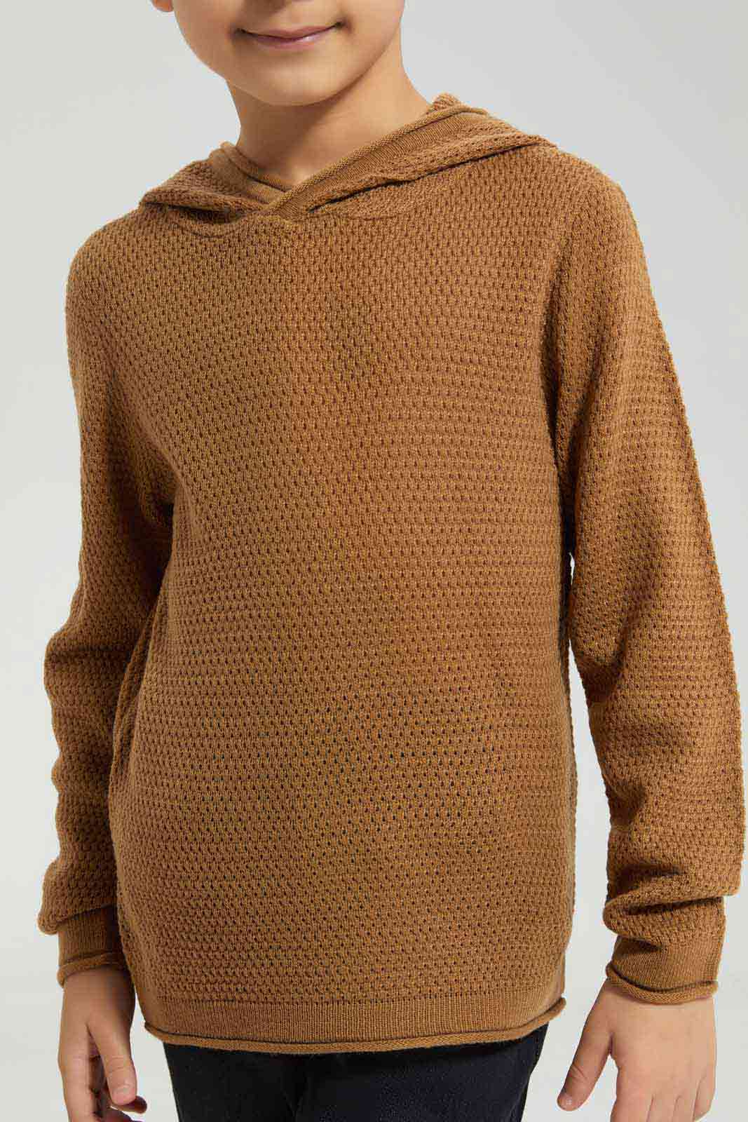 Redtag-Brown-Hooded-Jumper-BOY-Pullovers,-Category:Pullovers,-Colour:Brown,-Deals:New-In,-Filter:Boys-(2-to-8-Yrs),-New-In-BOY-APL,-Non-Sale,-Section:Boys-(0-to-14Yrs),-W22B-Boys-2 to 8 Years