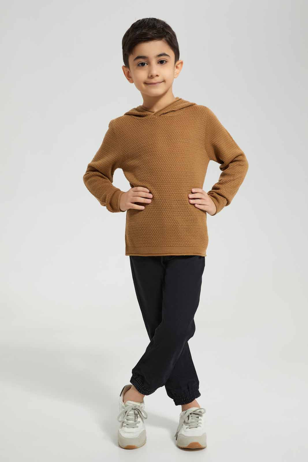 Redtag-Brown-Hooded-Jumper-BOY-Pullovers,-Category:Pullovers,-Colour:Brown,-Deals:New-In,-Filter:Boys-(2-to-8-Yrs),-New-In-BOY-APL,-Non-Sale,-Section:Boys-(0-to-14Yrs),-W22B-Boys-2 to 8 Years