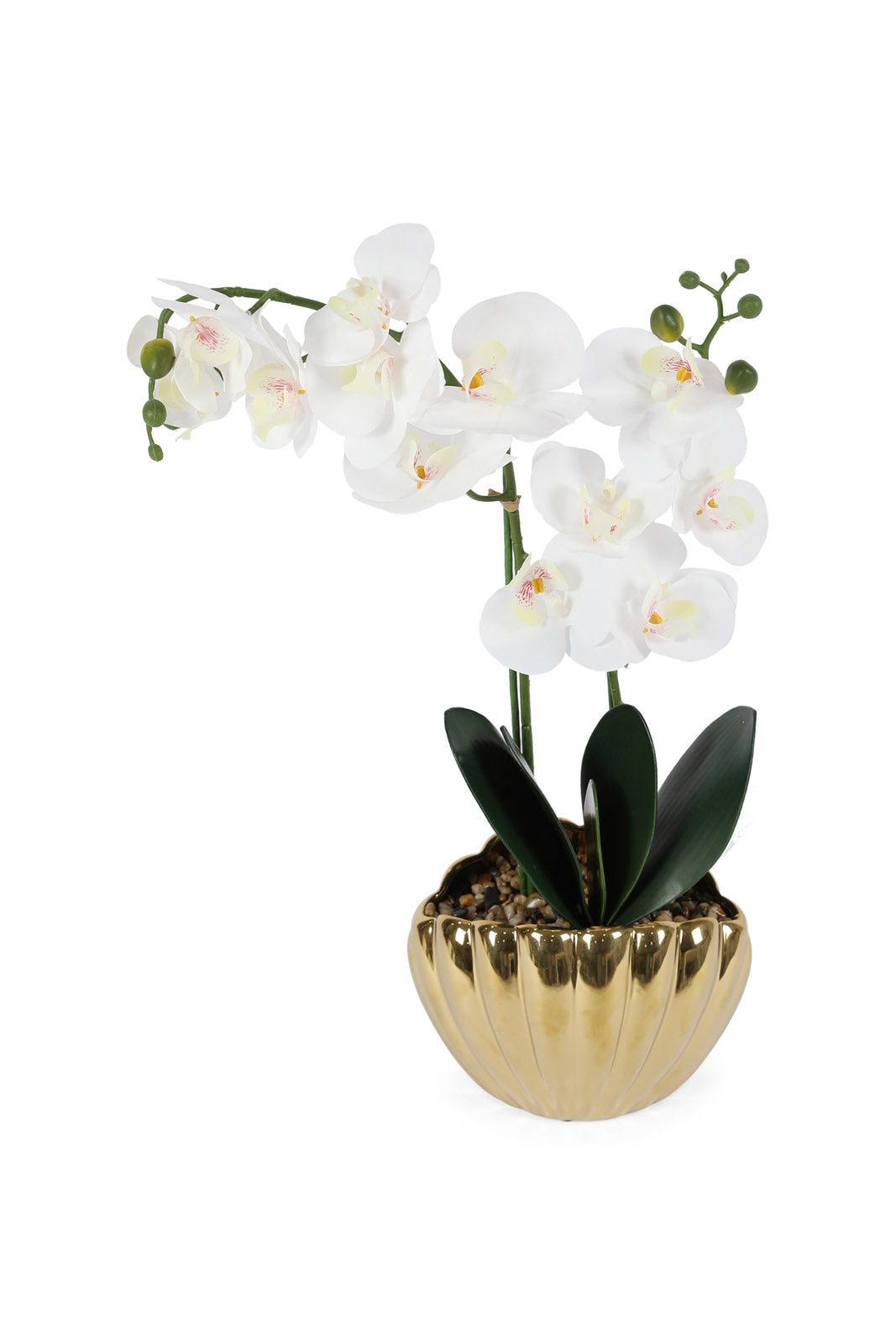 Redtag-Gold-Artificial-Orchid-In-Ceramic-Gold-Vase-Category:Plants-&-Flowers,-Colour:Gold,-Deals:New-In,-Dept:Home,-Filter:Home-Decor,-HMW-HOM-Decorative-Accessories,-New-In-HMW-HOM,-Non-Sale,-Section:Homewares,-W22B-Home-Decor-
