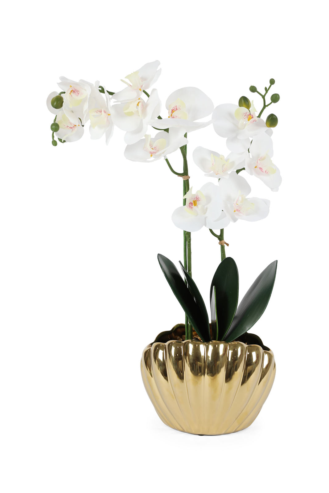 Redtag-Gold-Artificial-Orchid-In-Ceramic-Gold-Vase-Category:Plants-&-Flowers,-Colour:Gold,-Deals:New-In,-Dept:Home,-Filter:Home-Decor,-HMW-HOM-Decorative-Accessories,-New-In-HMW-HOM,-Non-Sale,-Section:Homewares,-W22B-Home-Decor-