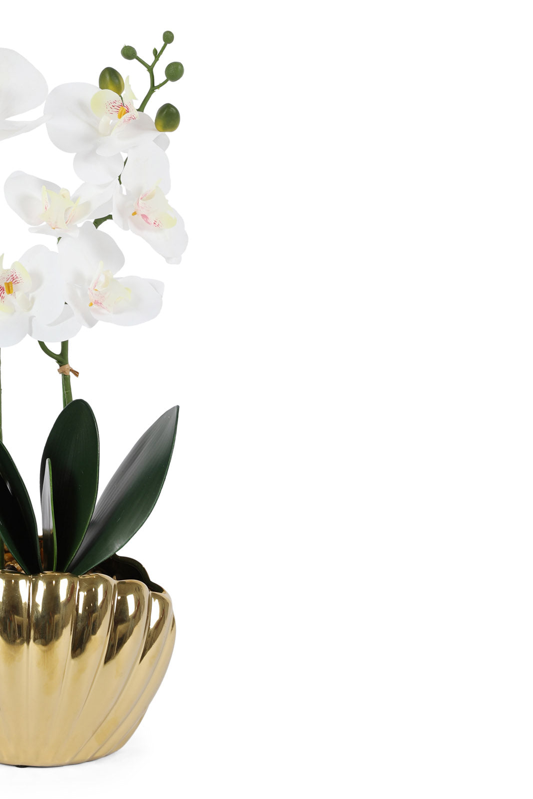 Redtag-Gold-Artificial-Orchid-In-Ceramic-Gold-Vase-Category:Plants-&-Flowers,-Colour:Gold,-Deals:New-In,-Dept:Home,-Filter:Home-Decor,-HMW-HOM-Decorative-Accessories,-New-In-HMW-HOM,-Non-Sale,-Section:Homewares,-W22B-Home-Decor-