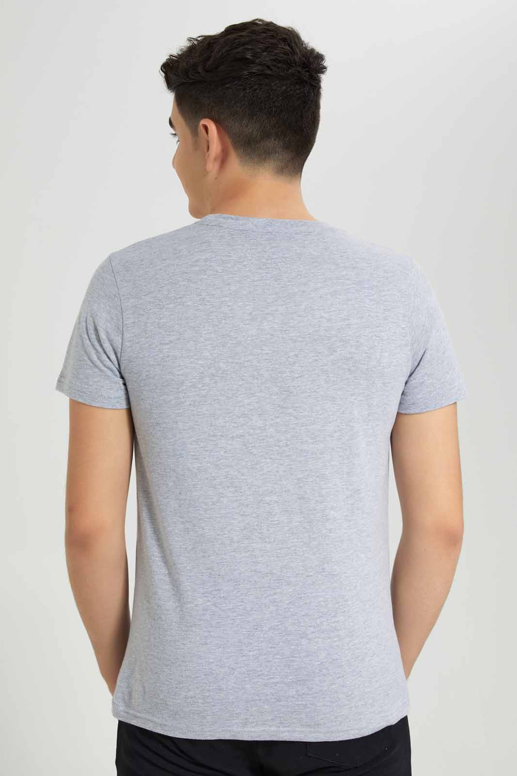 Redtag-Grey-Lion-Roar-T-Shirt-BSR-T-Shirts,-Category:T-Shirts,-Colour:Grey,-Deals:New-In,-Filter:Senior-Boys-(8-to-14-Yrs),-New-In-BSR-APL,-Non-Sale,-Section:Boys-(0-to-14Yrs),-TBL,-W22A-Senior-Boys-9 to 14 Years