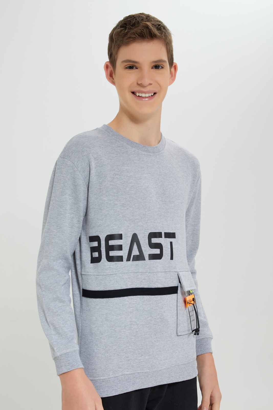 Redtag-Grey-Beast-Sweatshirt-BSR-Sweatshirts,-Category:Sweatshirts,-Colour:Grey,-Deals:New-In,-Filter:Senior-Boys-(8-to-14-Yrs),-New-In-BSR-APL,-Non-Sale,-Section:Boys-(0-to-14Yrs),-W22B-Senior-Boys-9 to 14 Years