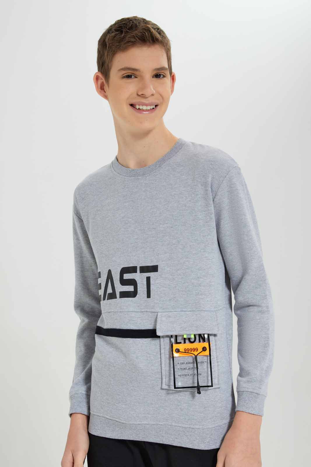 Redtag-Grey-Beast-Sweatshirt-BSR-Sweatshirts,-Category:Sweatshirts,-Colour:Grey,-Deals:New-In,-Filter:Senior-Boys-(8-to-14-Yrs),-New-In-BSR-APL,-Non-Sale,-Section:Boys-(0-to-14Yrs),-W22B-Senior-Boys-9 to 14 Years