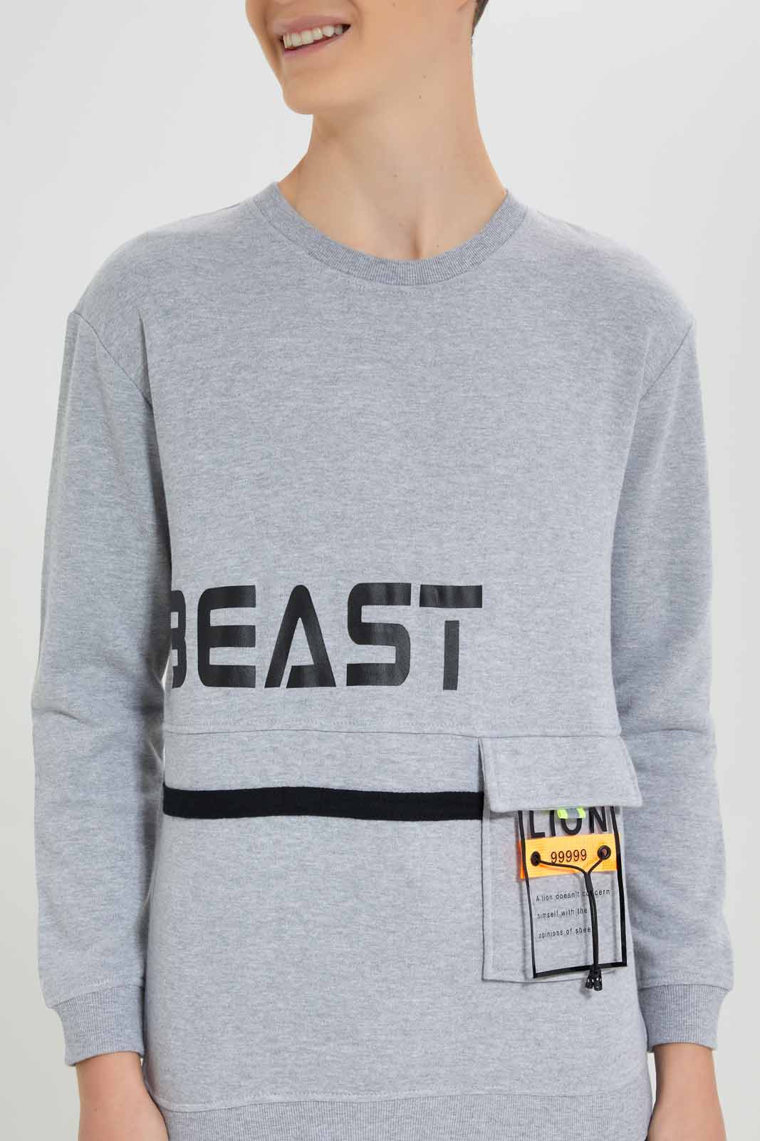 Redtag-Grey-Beast-Sweatshirt-BSR-Sweatshirts,-Category:Sweatshirts,-Colour:Grey,-Deals:New-In,-Filter:Senior-Boys-(8-to-14-Yrs),-New-In-BSR-APL,-Non-Sale,-Section:Boys-(0-to-14Yrs),-W22B-Senior-Boys-9 to 14 Years